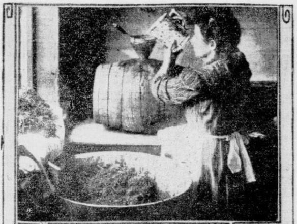 Old photo of woman working with elderberries