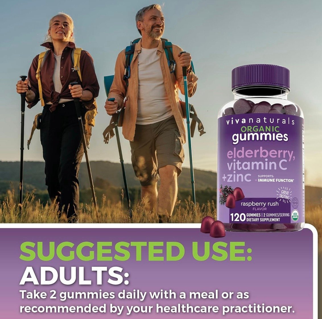 Suggested elderberry gummy use 