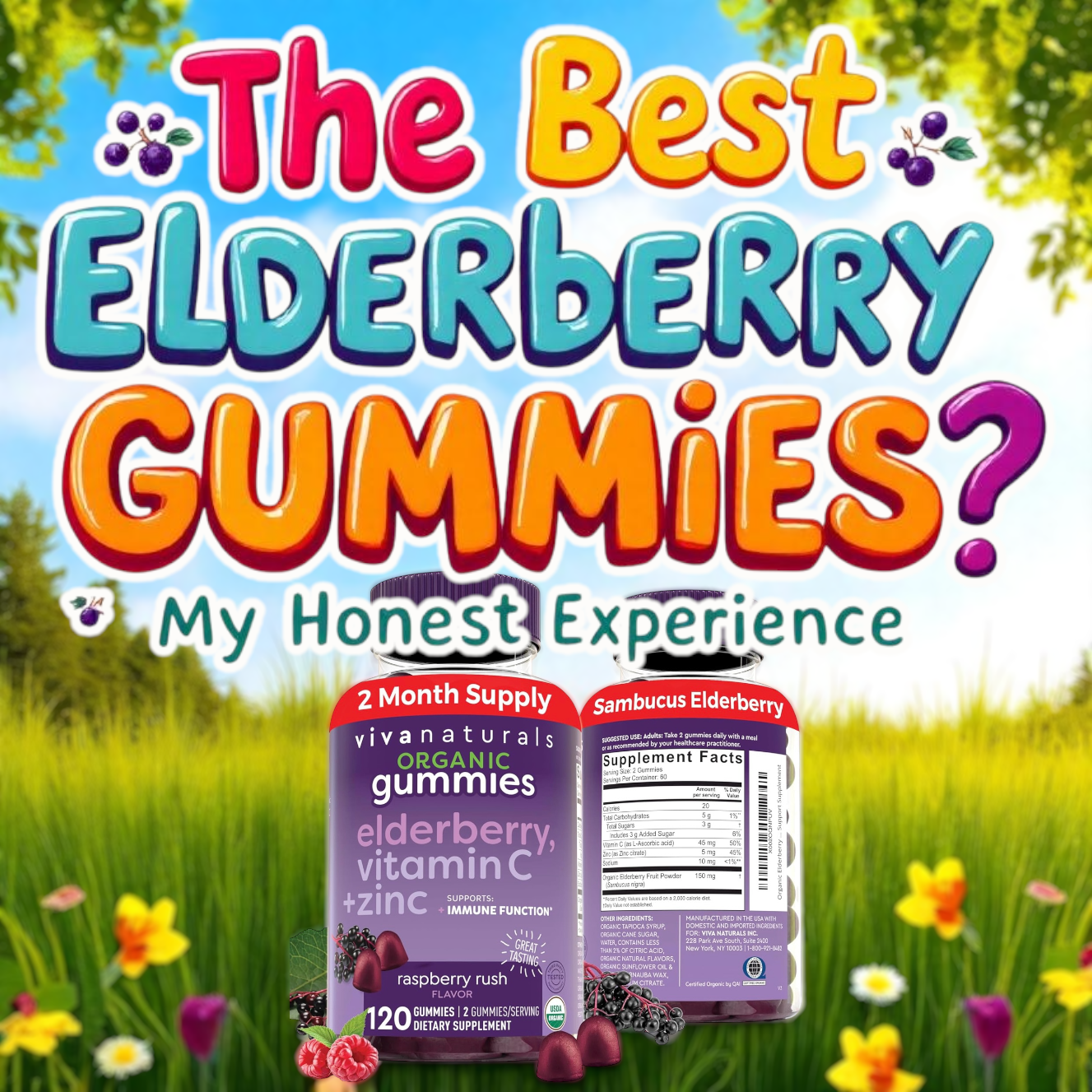 The Best Elderberry Gummies? My Honest Experience