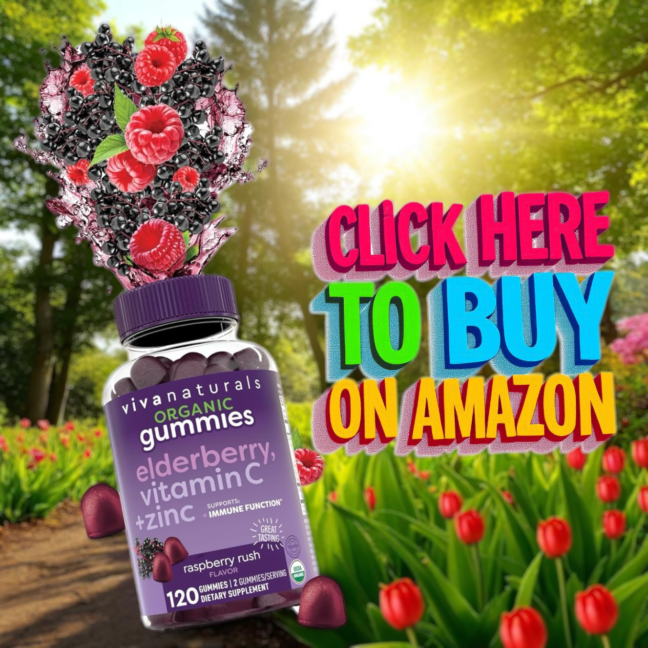 Order these elderberry gummies on Amazon 