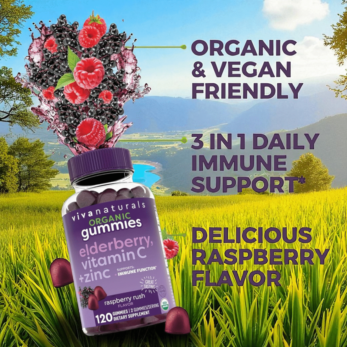 Organic elderberry gummies
