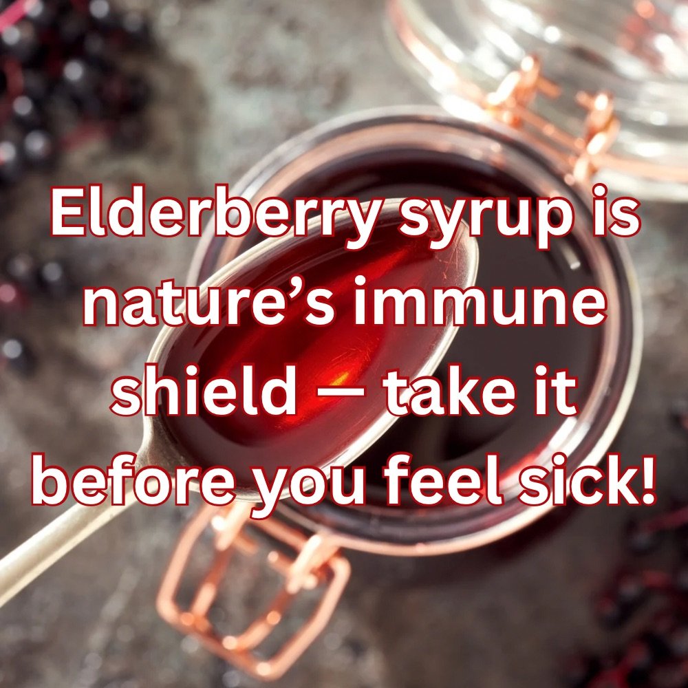 Elderberry syrup is good for immune system 