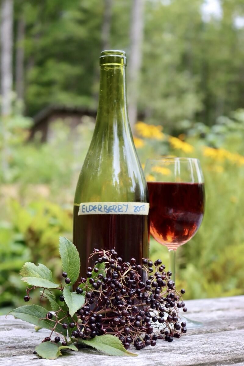 Homemade elderberry wine