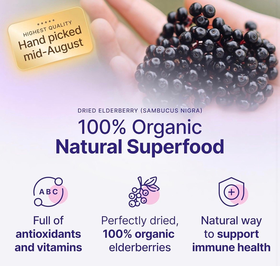 Organic elderberries