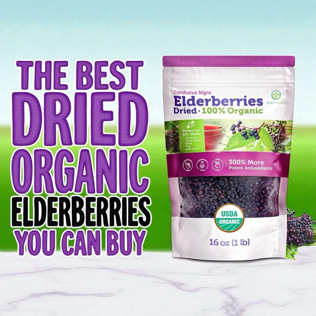 The Best Dried Organic Elderberries You Can Buy
