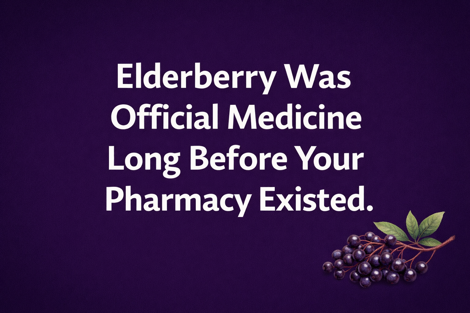 Your Immune System’s Secret Weapon Has Been Growing Wild in Your Backyard for Centuries