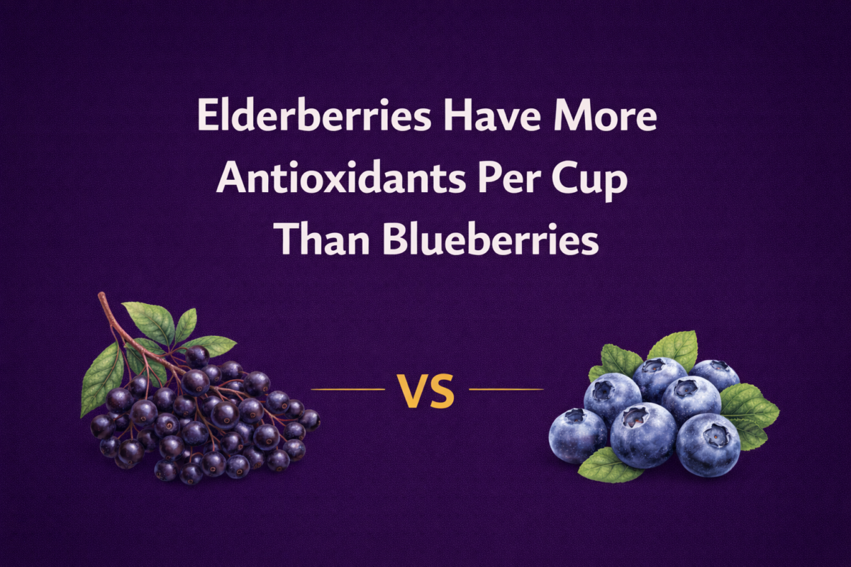 This Tiny Berry Has More Antioxidants Than Blueberries — And Nobody Talks About It