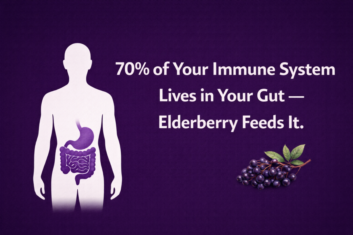 The Real Reason Elderberry Works Has Nothing to Do With Your Immune System Directly