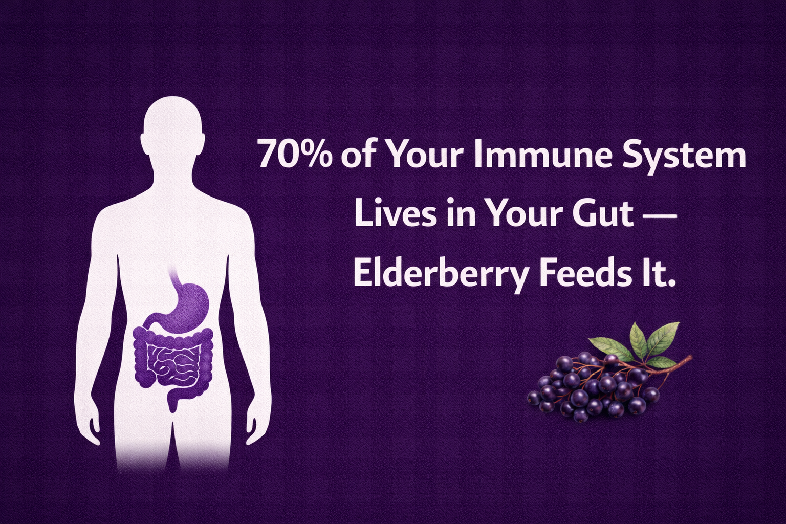 The Real Reason Elderberry Works Has Nothing to Do With Your Immune System Directly