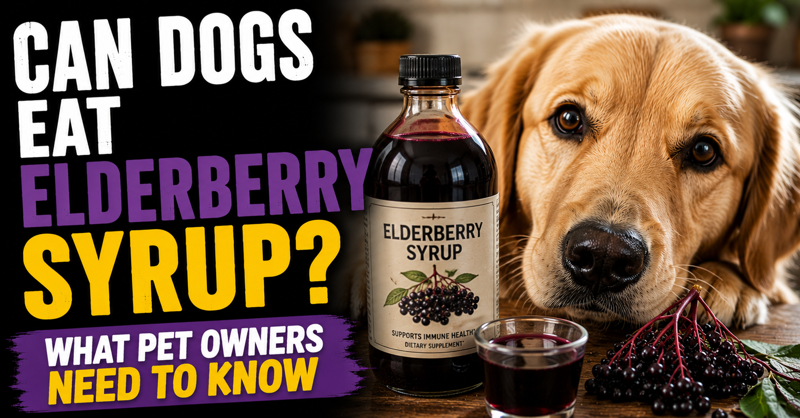 Can Dogs Eat Elderberry Syrup? What Pet Owners Need To Know