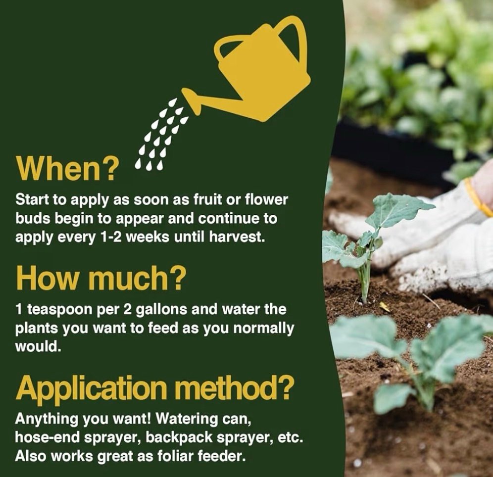 Using elderberry fertilizer 