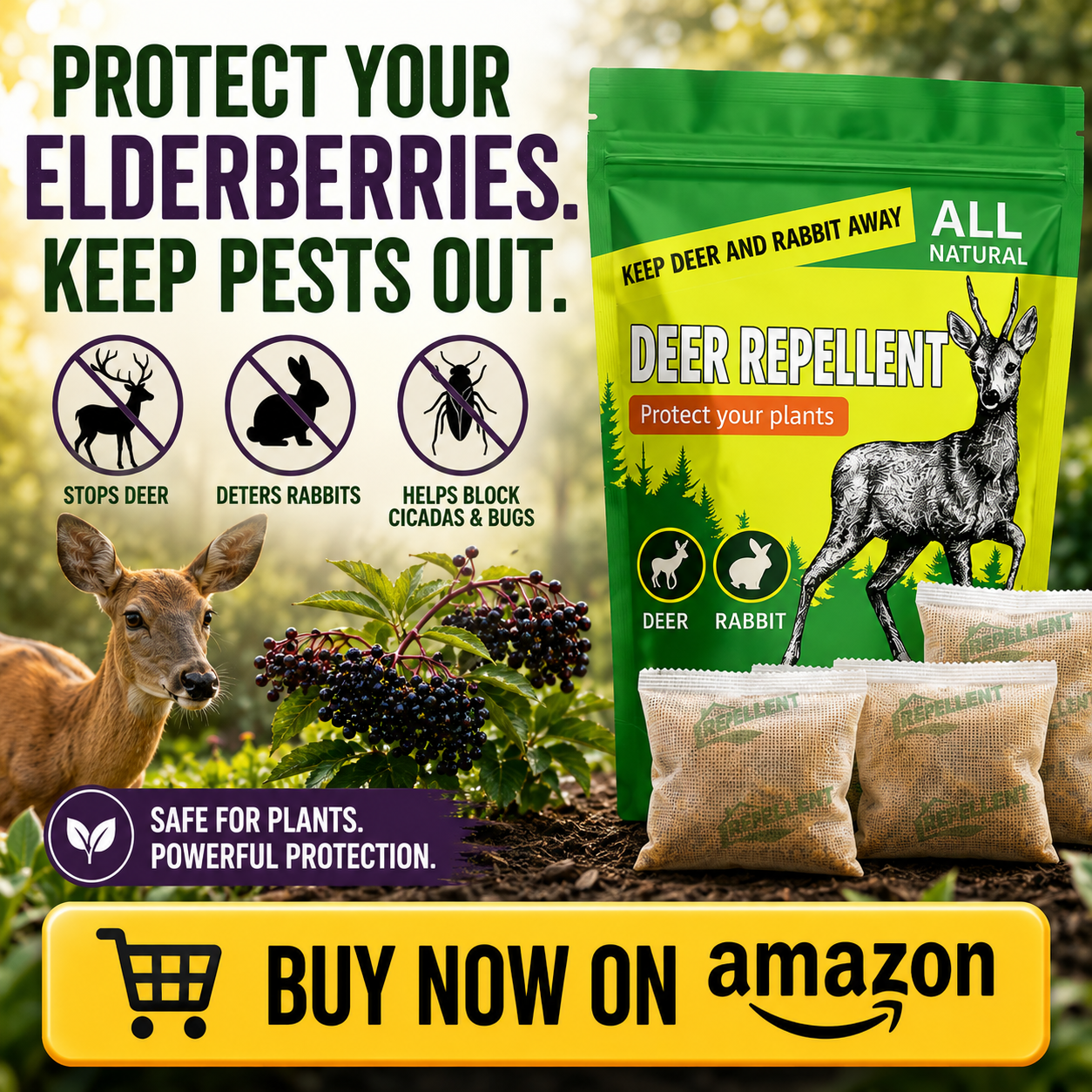 Deer repellent for elderberry bush