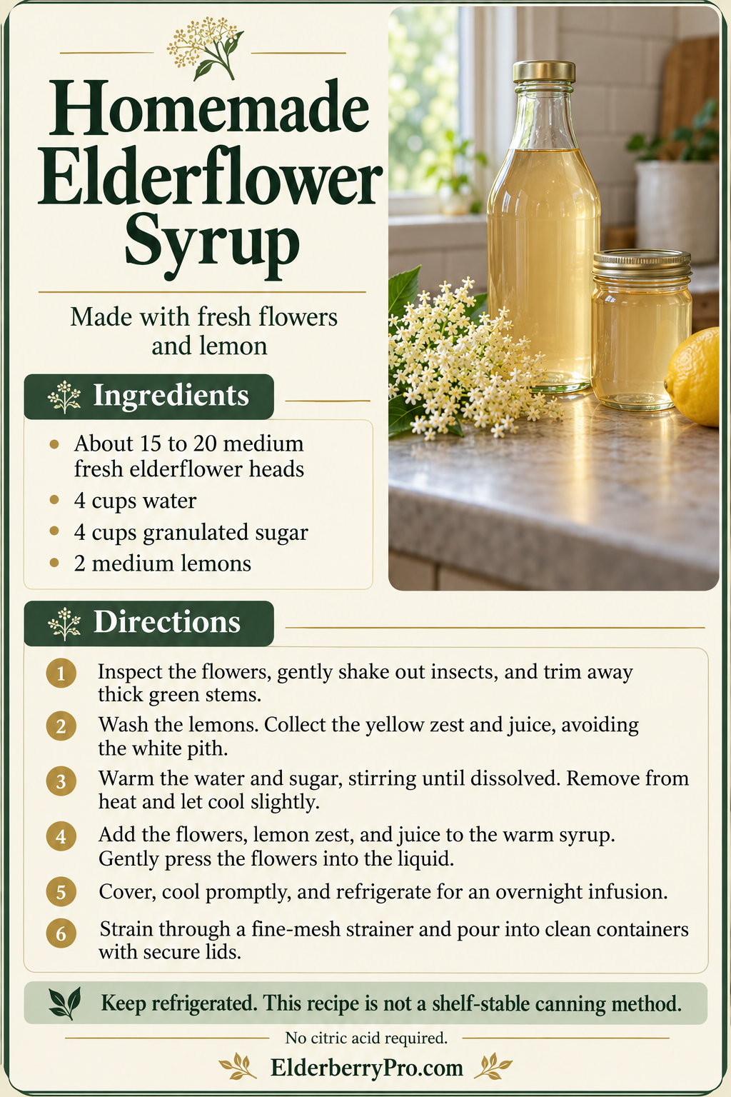 How to Make Elderflower Syrup at Home That Tastes Amazing